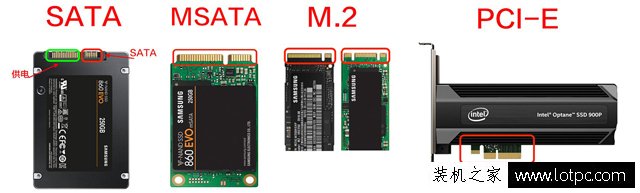 固态硬盘的颗粒/主控/缓存/3D NAND客栈/接口/总线/协议基础知识