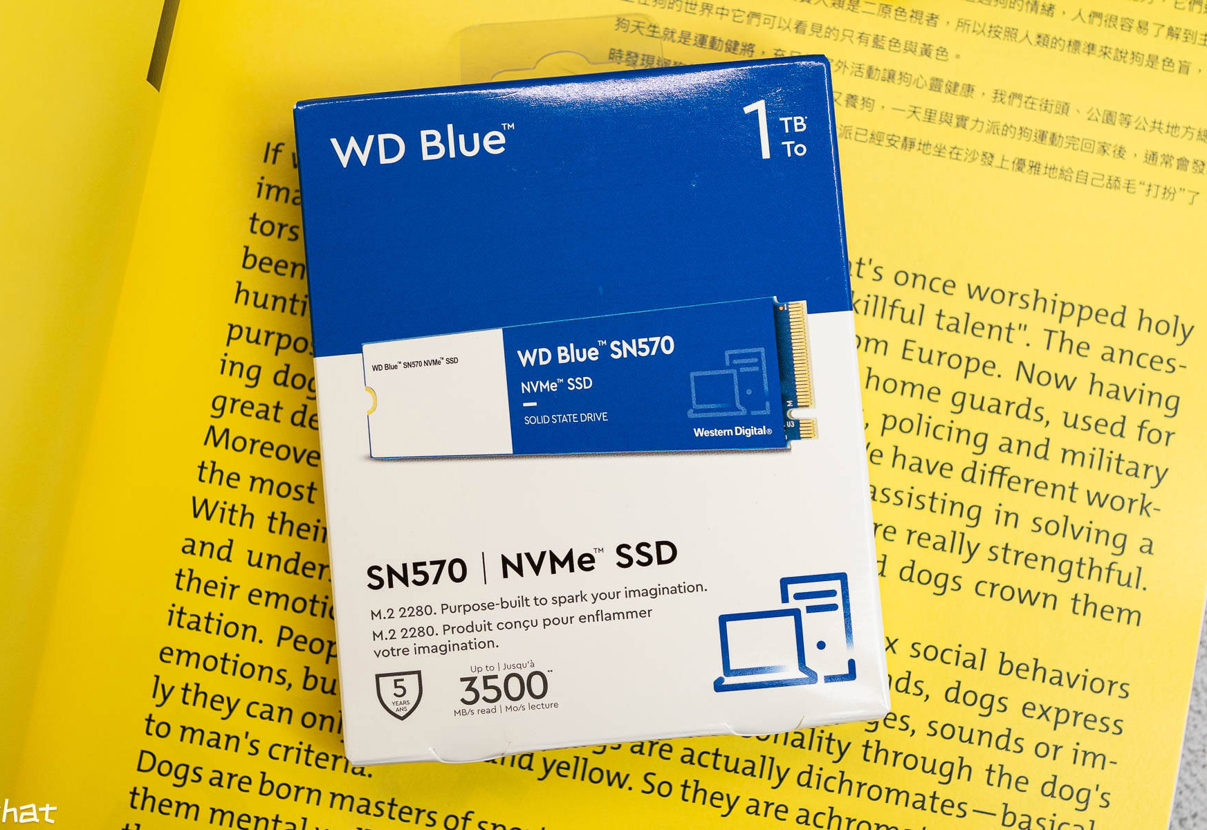 WD Blue SN570-包装正面