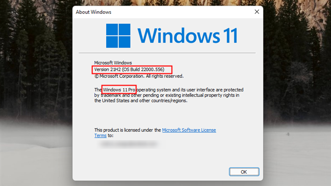 如何检查 Windows 11 的版本和内部版本