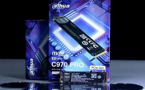 大华 C970 Pro M.2 PCIe4.0 1TB 固态硬盘测评：国产SSD·为发烧而生