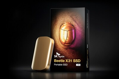 海力士 Beetle X31