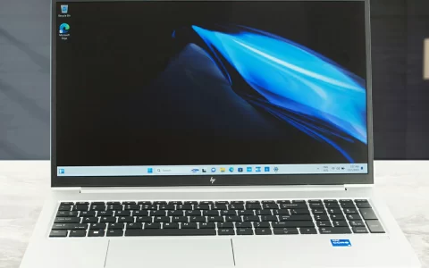惠普 EliteBook 650 G10 可以升级内存和固态硬盘吗？