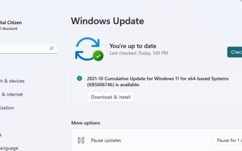 如何暂停 Windows 11 更新
