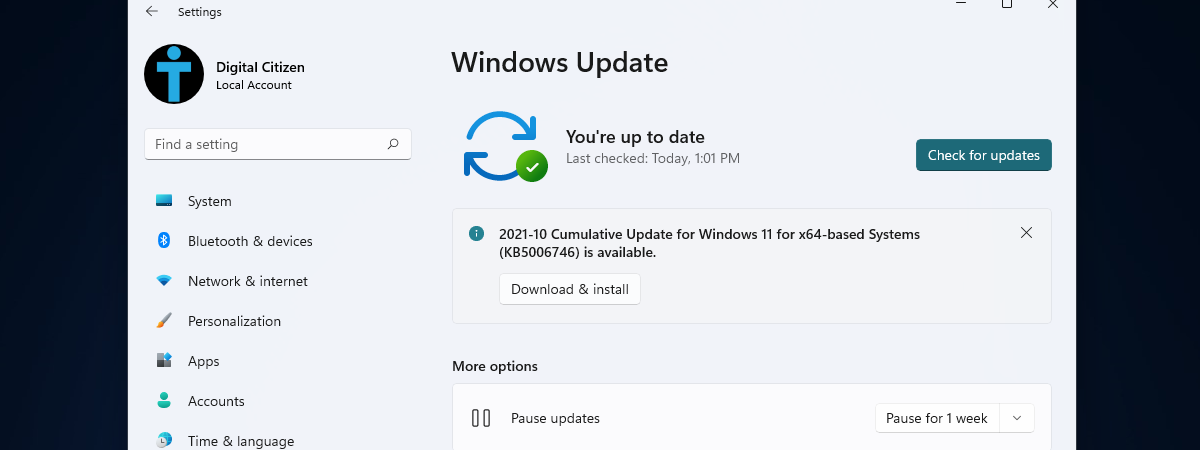 如何暂停 Windows 11 更新